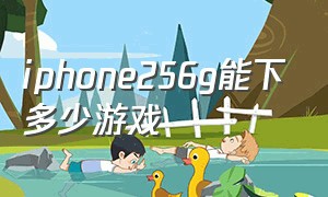 iphone256g能下多少游戏