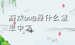 游戏bug是什么意思中文