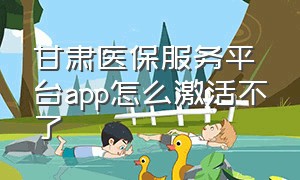 甘肃医保服务平台app怎么激活不了