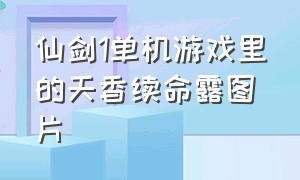 仙剑1单机游戏里的天香续命露图片