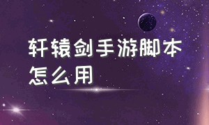 轩辕剑手游脚本怎么用