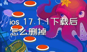 ios 17.1.1下载后怎么删掉