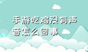 手游吃鸡没有声音怎么回事