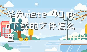 华为mate 40 pro下载的文件怎么查