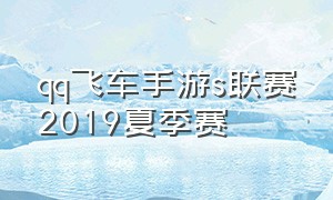 qq飞车手游s联赛2019夏季赛