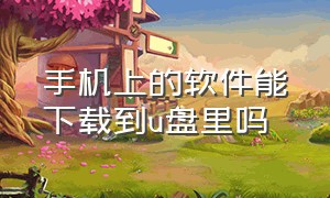 手机上的软件能下载到u盘里吗（手机上的软件卸载不了怎么办）