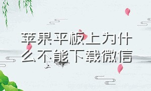 苹果平板上为什么不能下载微信