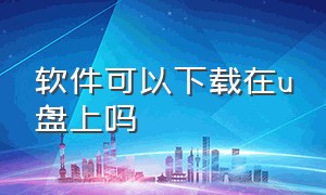 软件可以下载在u盘上吗