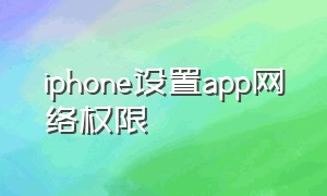 iphone设置app网络权限