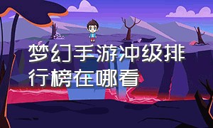 梦幻手游冲级排行榜在哪看