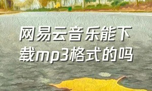 网易云音乐能下载mp3格式的吗