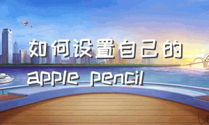 如何设置自己的apple pencil