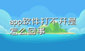 app软件打不开是怎么回事