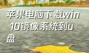 苹果电脑下载win 10镜像系统到u盘