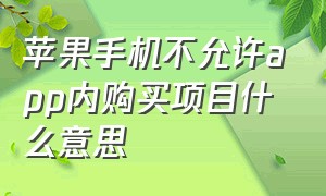 苹果手机不允许app内购买项目什么意思