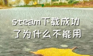 steam下载成功了为什么不能用