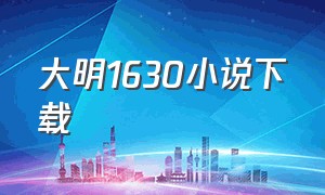 大明1630小说下载