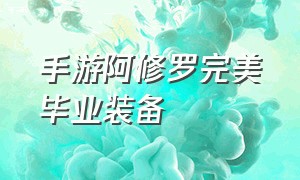 手游阿修罗完美毕业装备