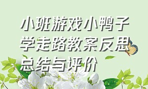 小班游戏小鸭子学走路教案反思总结与评价