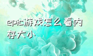 epic游戏怎么看内存大小