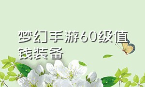 梦幻手游60级值钱装备（梦幻手游如何购买60级普通装备）