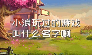 小浪玩过的游戏叫什么名字啊