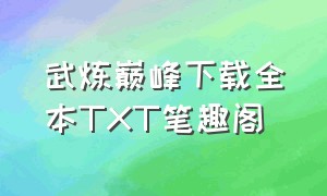 武炼巅峰下载全本TXT笔趣阁