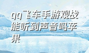 qq飞车手游观战能听到声音吗苹果