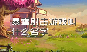 暴雪射击游戏叫什么名字