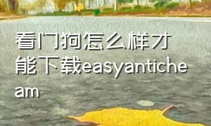 看门狗怎么样才能下载easyanticheam