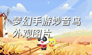 梦幻手游妙音鸟外观图片