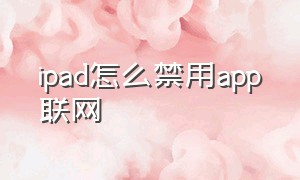 ipad怎么禁用app联网