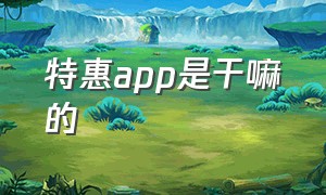 特惠app是干嘛的（特惠app是干嘛的）