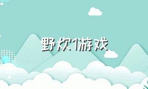 野炊1游戏