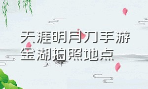 天涯明月刀手游金湖拍照地点