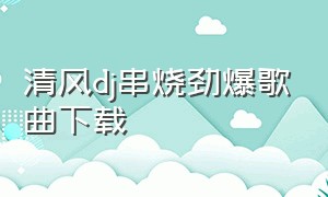 清风dj串烧劲爆歌曲下载