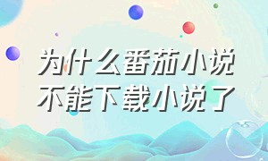 为什么番茄小说不能下载小说了