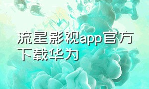 流星影视app官方下载华为