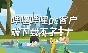 哔哩哔哩pc客户端下载不了（哔哩哔哩电脑版安装不了）