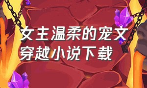 女主温柔的宠文穿越小说下载