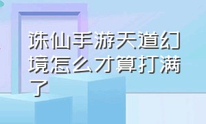 诛仙手游天道幻境怎么才算打满了