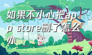 如果不小心把app store删了怎么办