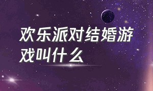 欢乐派对结婚游戏叫什么