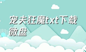 宠夫狂魔txt下载微盘（妖宠电子书txt全集下载）