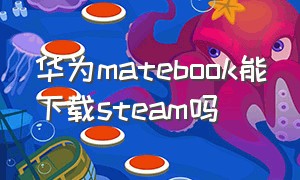 华为matebook能下载steam吗