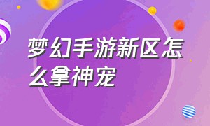 梦幻手游新区怎么拿神宠