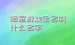 暗室游戏全名叫什么名字