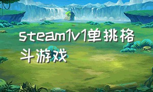 steam1v1单挑格斗游戏（steam 格斗类游戏）