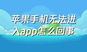 苹果手机无法进入app怎么回事（苹果手机怎么忽然不能打开app）