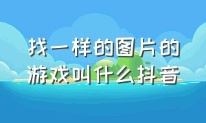 找一样的图片的游戏叫什么抖音（找一样的图片的游戏叫什么抖音软件）